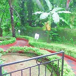 Peter\'S Paradise