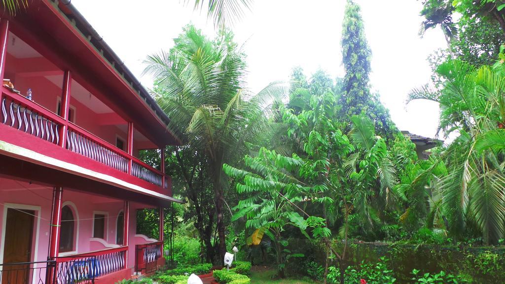 Peter's Paradise