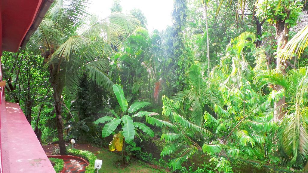 Peter's Paradise Guest house